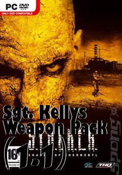 Box art for Sgt. Kellys Weapon Pack (1.1)