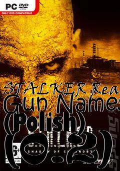 Box art for STALKER Real Gun Names (Polish) (0.2)