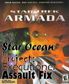 Box art for Star Ocean Project: Executioner Assault Fix