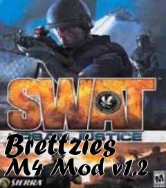 Box art for Brettzies M4 Mod v1.2