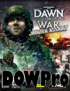 Box art for DOWPro