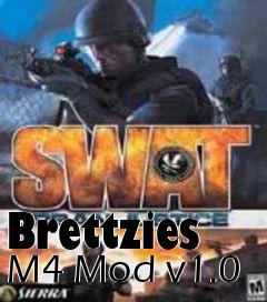 Box art for Brettzies M4 Mod v1.0