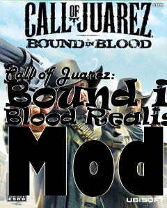 Box art for Call of Juarez: Bound in Blood Realism Mod