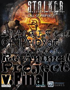 Box art for STALKER Call of Pripyat S.T.A.L.K.E.R. Re-Animation Project 2 v.Final