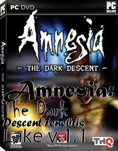Box art for Amnesia: The Dark Descent Tenebris Lake v.1.1