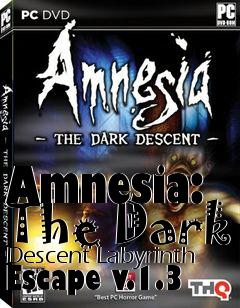 Box art for Amnesia: The Dark Descent Labyrinth Escape v.1.3