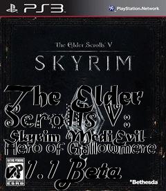 Box art for The Elder Scrolls V: Skyrim MediEvil- Hero of Gallowmere v.1.1Beta