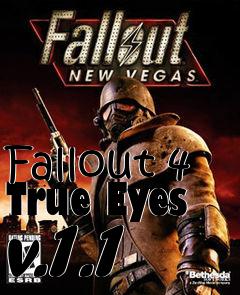 Box art for Fallout 4 True Eyes v.1.1