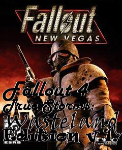 Box art for Fallout 4 True Storms: Wasteland Edition v.1.4