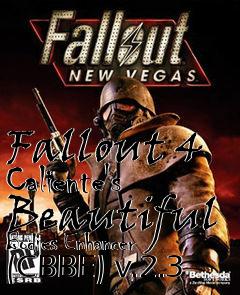 Box art for Fallout 4 Caliente