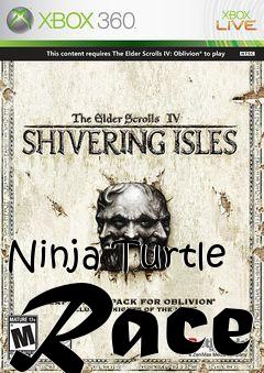 Box art for Ninja Turtle Race