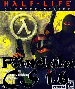 Box art for P3ndulums CS 1.6