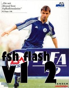 Box art for fsh flash v1 2