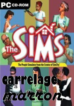 Box art for carrelage marron