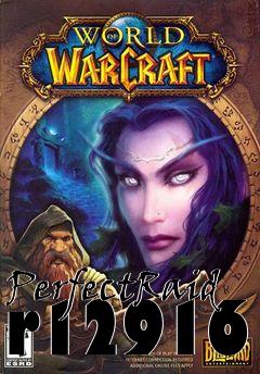 Box art for PerfectRaid r12916