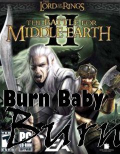 Box art for Burn Baby Burn