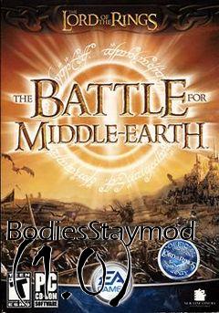 Box art for BodiesStaymod (1.0)