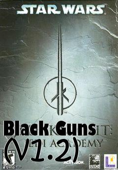 Box art for Black Guns (v1.2)