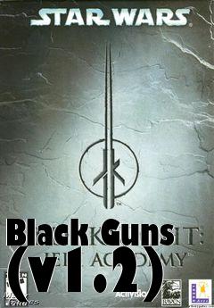 Box art for Black Guns (v1.2)