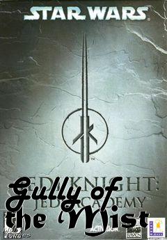 Box art for Gully of the Mist