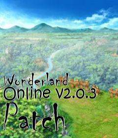 Box art for Wonderland Online v2.0.3 Patch