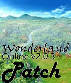 Box art for Wonderland Online v2.0.3 Patch