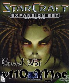 Box art for Brood War v110 Mac