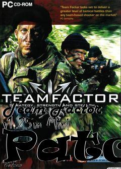 Box art for Team Factor v1.25m Mini Patch