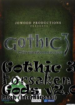 Box art for Gothic 3: Forsaken Gods v2.01 Patch (International)