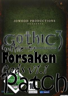 Box art for Gothic 3: Forsaken Gods v1.1 Patch