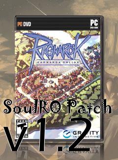 Box art for SoulRO Patch v1.2