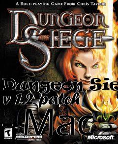 Box art for Dungeon Siege v 1.2 patch - Mac