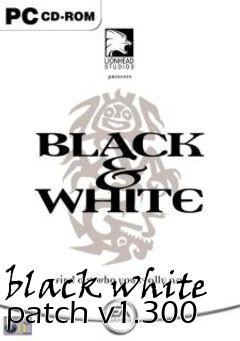 Box art for black white patch v1.300