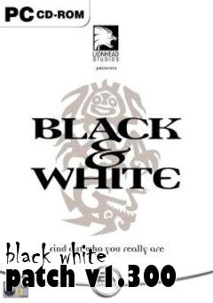 Box art for black white patch v1.300