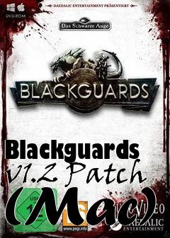 Box art for Blackguards v1.2 Patch (Mac)