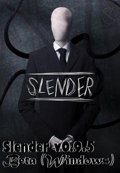 Box art for Slender v0.9.5 Beta (Windows)