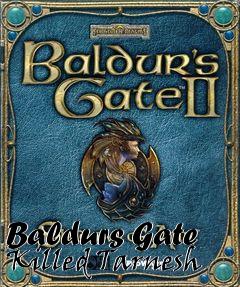 Box art for Baldurs Gate