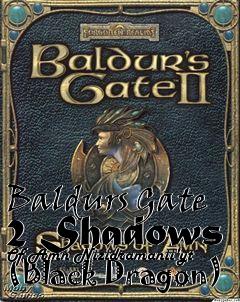 Box art for Baldurs Gate 2 Shadows Of Amn