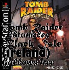 Box art for Tomb Raider - Chronicles