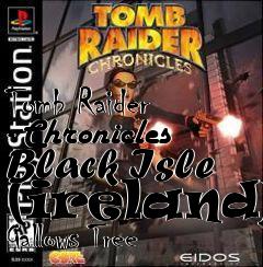 Box art for Tomb Raider - Chronicles