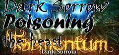 Box art for Tormentum: Dark Sorrow