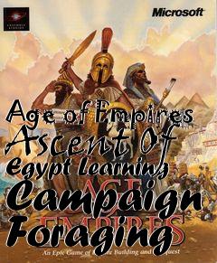 Box art for Age of Empires