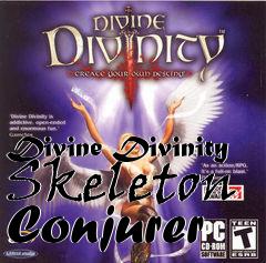 Box art for Divine Divinity