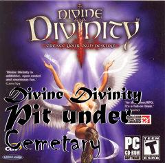 Box art for Divine Divinity