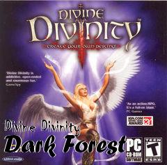 Box art for Divine Divinity