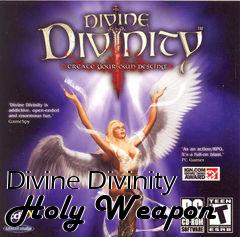 Box art for Divine Divinity