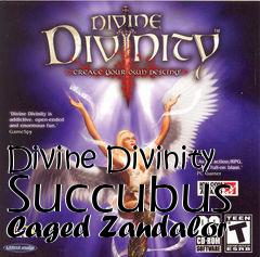 Box art for Divine Divinity