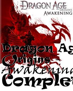 Box art for Dragon Age: Origins - Awakening