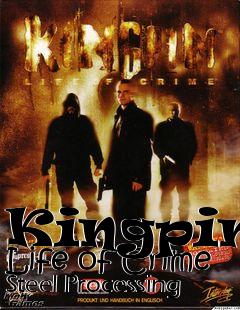 Box art for Kingpin: Life of Crime