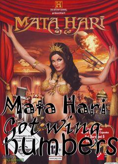 Box art for Mata Hari
